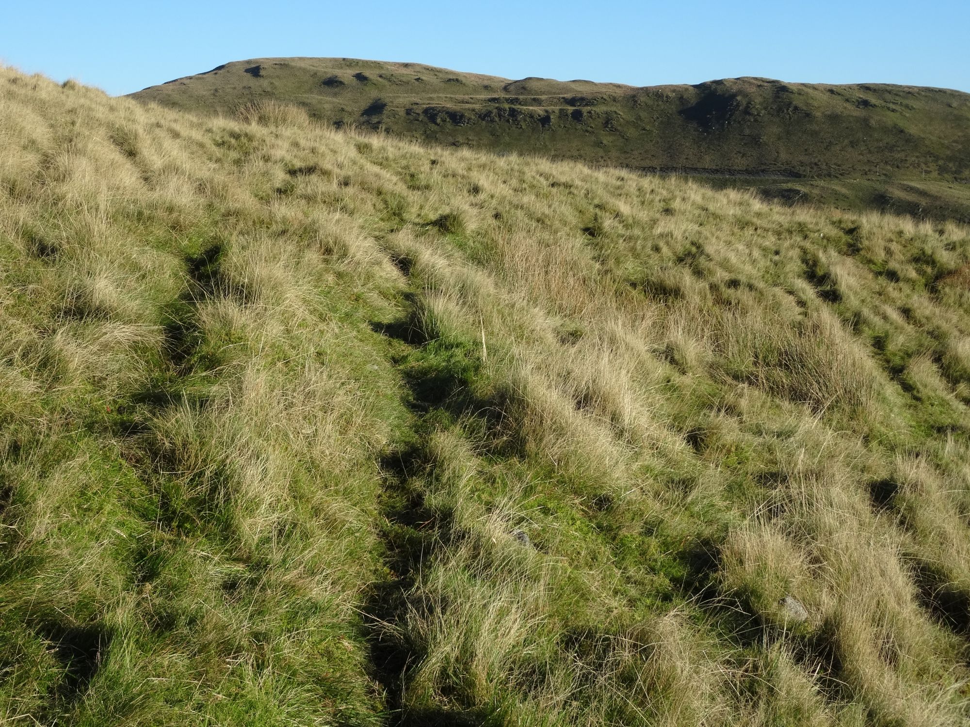 RachelSeabrook.net | Wild Walking | Moel y Llyn | pic32